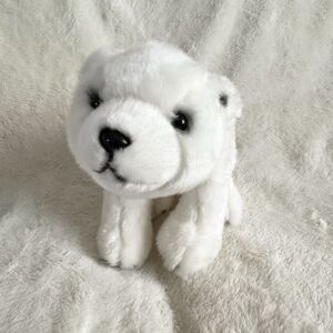 CS International Polar Bear Plush 12” Soft Realistic White Plush Stuffed Animal
